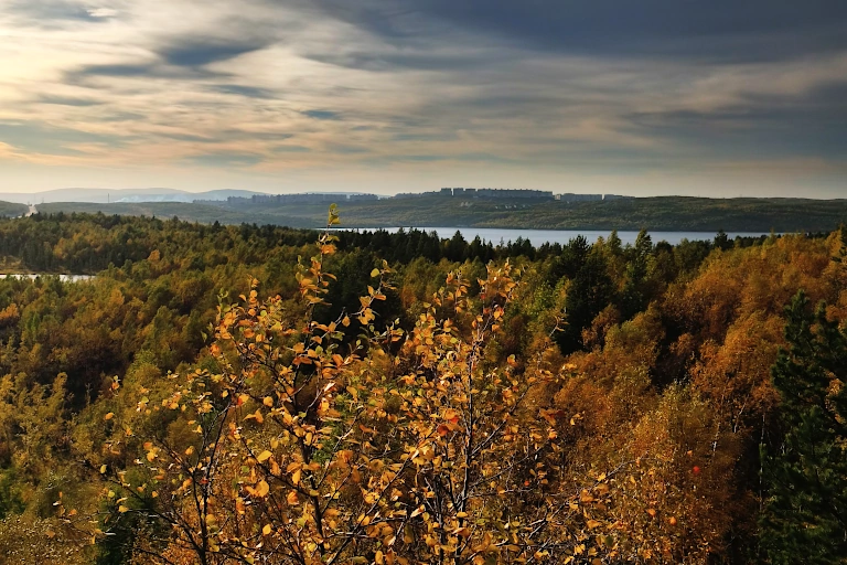 Blick auf herbstlichen Wald mit See
